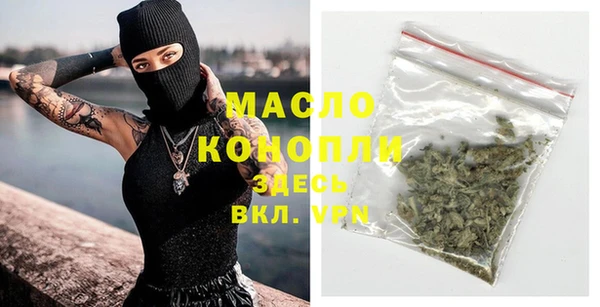 молекула духа Елабуга