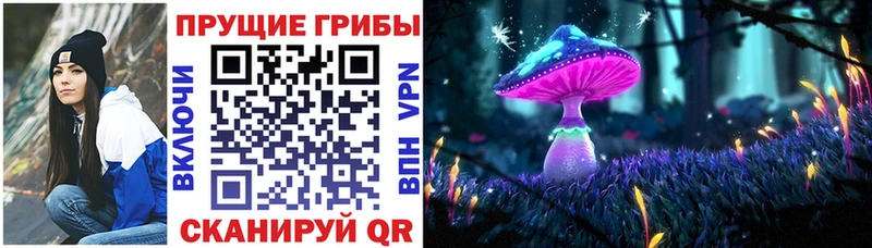 где найти наркотики  Щёлково  Псилоцибиновые грибы Psilocybe 